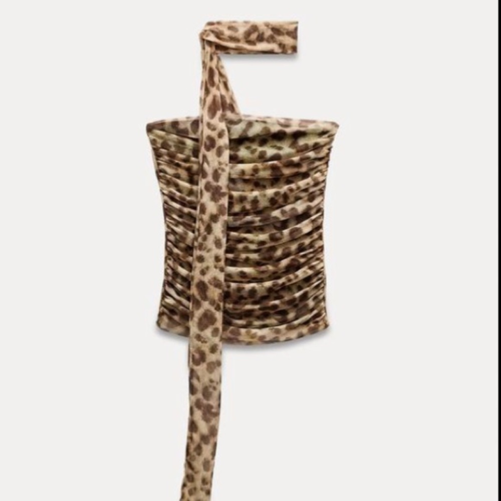 Zara Animal Print Bandeau Top